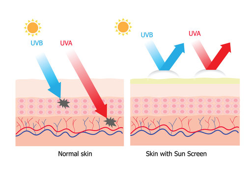 UVA and UVB  protect human skin with sunscreen lotion