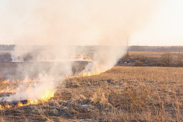 burning dry grass