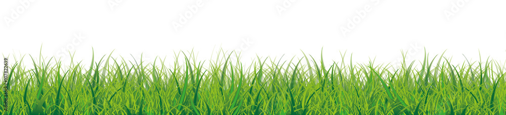 Wall mural grass white background header