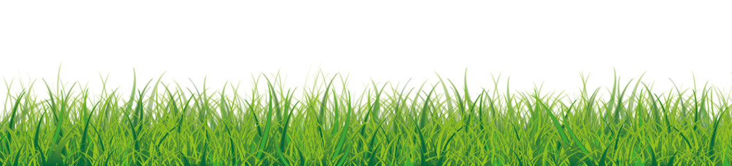 Grass White Background Header