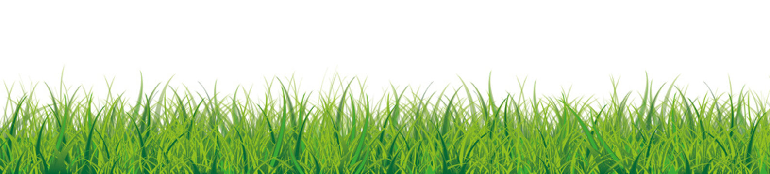 Grass White Background Header