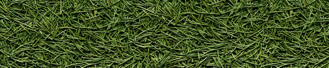 Pine needles in a panoramic image - 107823008