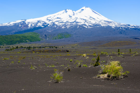 Llaima volcano, Conguillio National Park, Chile
