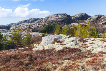 Fototapeta na wymiar Norwegian mountain landscape with rocks