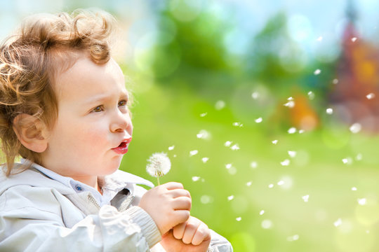 beautiful blond curly hair child blow dandelion outdoor in a park