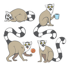 Cute cartoon ring tailed lemurs set. Funny four madagascar cats. Vector image. Children's illustration. © voron4ihina