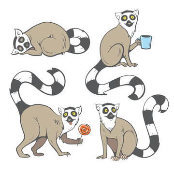Cute cartoon ring tailed lemurs set. Funny four madagascar cats. Vector image. Children's illustration.
