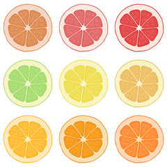 Obraz premium Lemon, orange, grapefruit and lime.