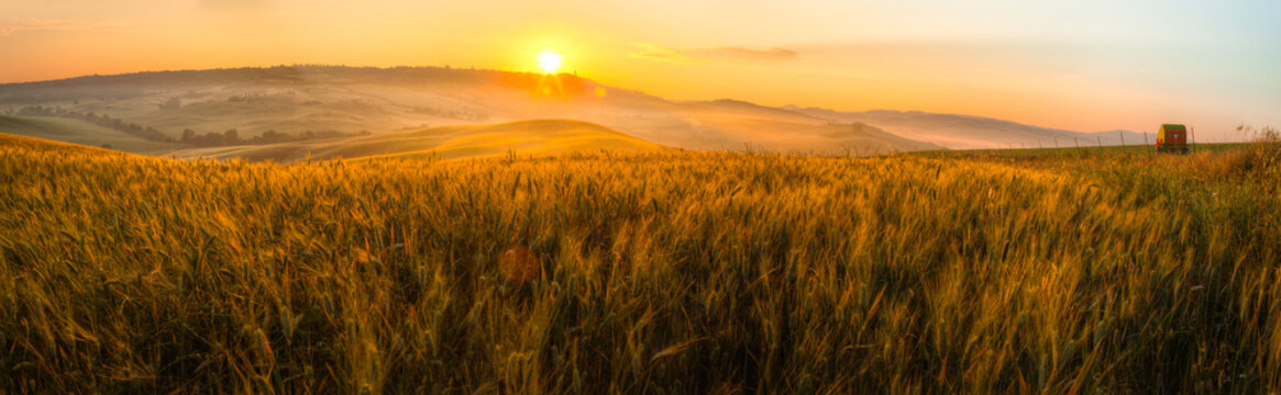 Fototapeta Tuscany wheat field panorama at sunrise