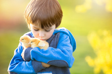 Sweet cute child, preschool boy, playing with little newborn chi © Tomsickova