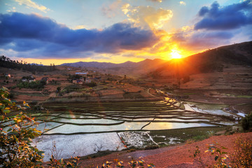 Beautiful sunset over the landscape of Madagascar with rice fields. HDR