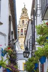background cityscape view of the bell tower of the Mezquita and the floral street in Cordoba, Andalusia, Spain