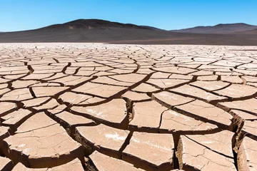 Zelfklevend Fotobehang Dry cracked earth, Atacama (Chile) © Noradoa
