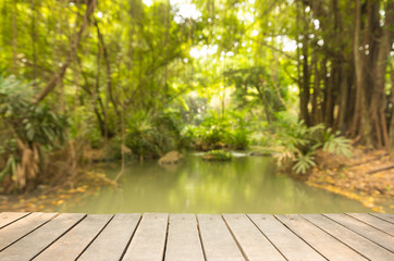 wooden sidewalk with blur of forest and rill background