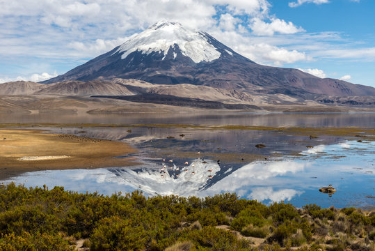 Parinacota volcano and Chungara lake, Lauca National Park (Chile)