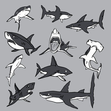 Set of sea sharks EPS vector for T-shirts