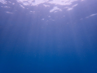 Obraz premium Underwater background