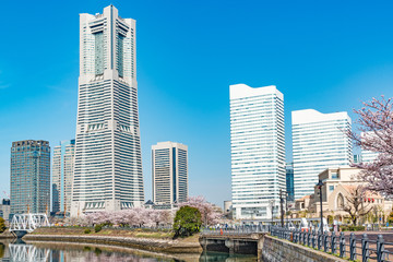 Spring in Yokohama, Japan at Canal park. 