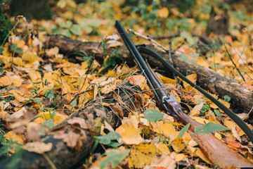 double-barreled gun, forest Autumn leaves