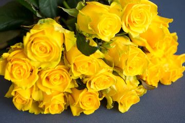 Букет жёлтых роз на серо-синем фоне