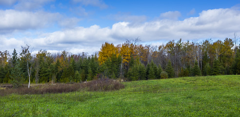 scenic view of rural countryside