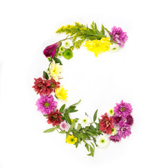 Буква латинского алфавита составленная из цветов на белом фоне