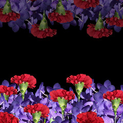 Floral background. Purple orchid and red carnation 