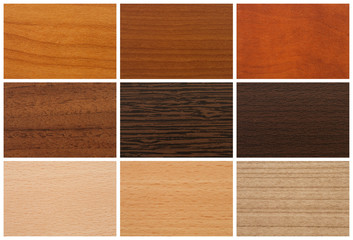 Color palette for furniture