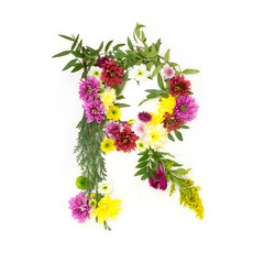 Буква латинского алфавита составленная из цветов на белом фоне