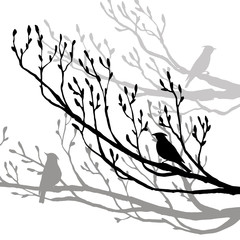 bird at tree silhouettes