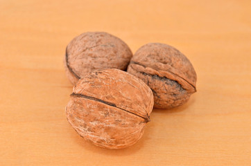 Walnut (Juglans regia)