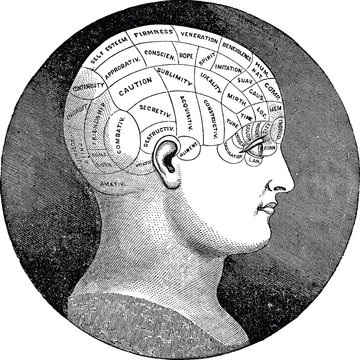 Vintage Illustration Phrenology