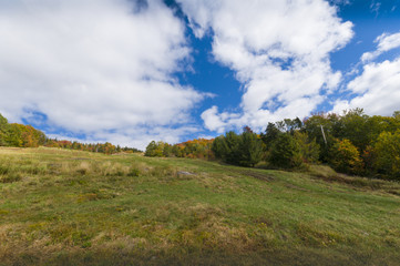 Autumn Landscape