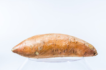 Sweet Potato on bright background