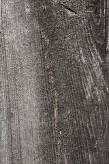 wood texture