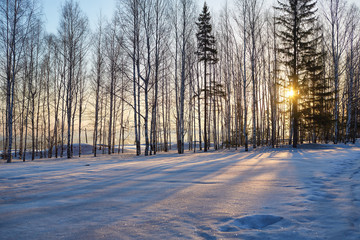 sunny winter morning