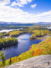 Obraz premium Autumn landscape