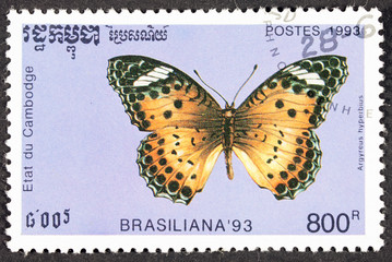 Fototapeta na wymiar GROOTEBROEK ,THE NETHERLANDS - MARCH 20,2016 : A stamp printed by Cambodia, shows butterfly, circa 1993.