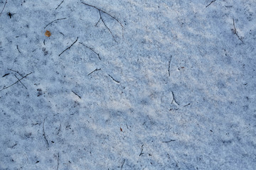Texture dirty spring snow from tree branches