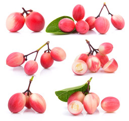 carissa on white background