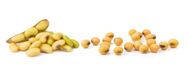 soybean