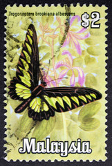 Obraz premium GROOTEBROEK ,THE NETHERLANDS - MARCH 15,2016 : A stamp printed in Malaysia shows Trogonoptera brookiana albescens (butterfly), circa 1970 