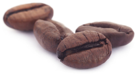 Obraz premium Roasted coffee bean