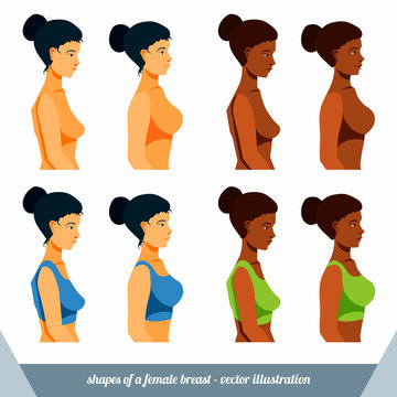 Different Shapes Of Breast, Women Breast, Vector Illustration
