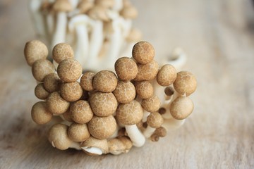 A lot mushroom black