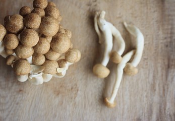 A lot mushroom black