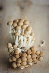 A lot mushroom black