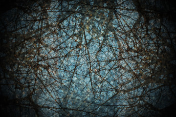 Art abstract textured background with branch