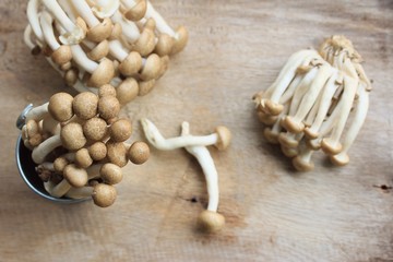 A lot mushroom black
