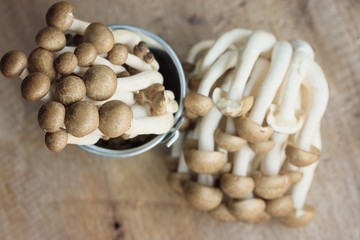 A lot mushroom black